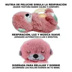 NUTRIA DORMILONA
